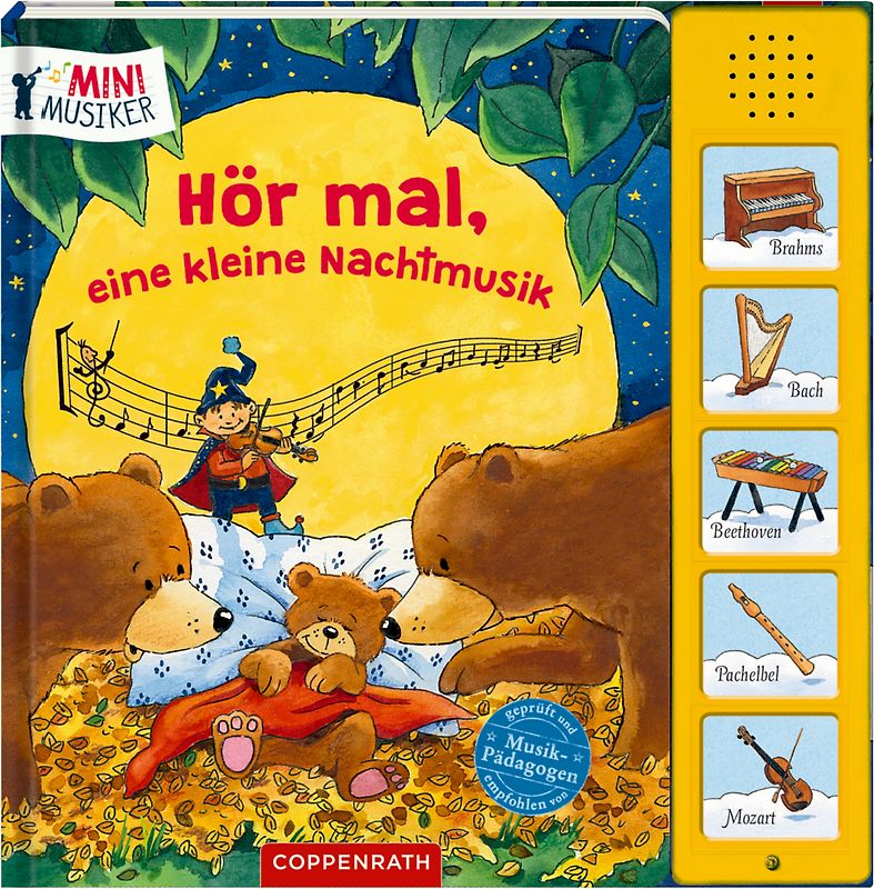 Hör mal, eine kleine Nachtmusik