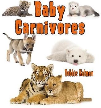 Baby Carnivores