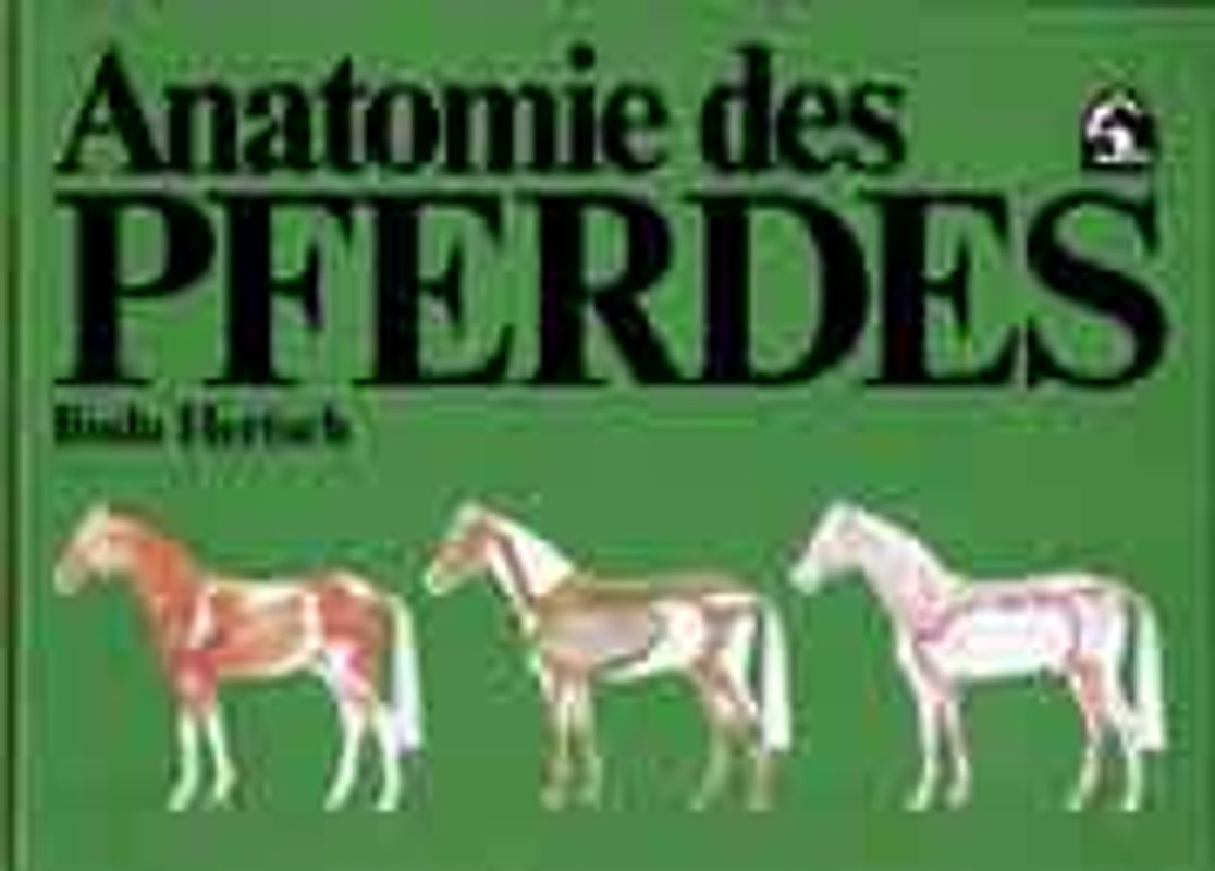 Anatomie des Pferdes