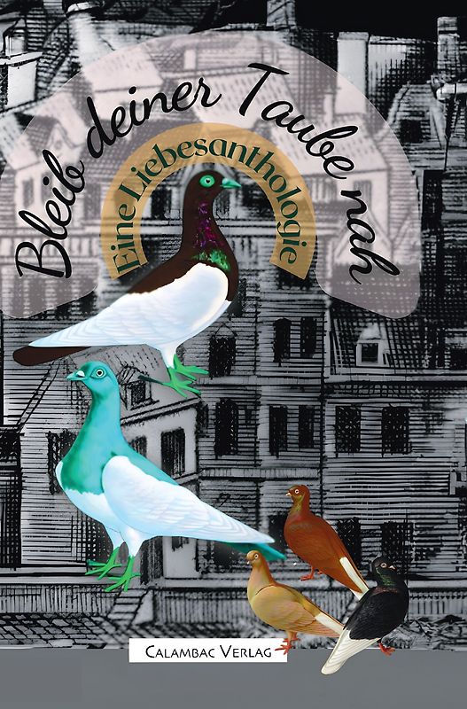 Bleib deiner Taube nah