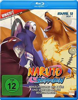 Naruto Shippuden - Staffel 12 - Box 1 [2 Discs] Blu-ray Disc