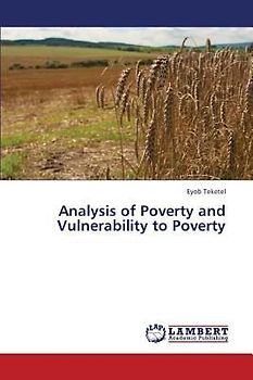 Analysis of Poverty and Vulnerability to Poverty