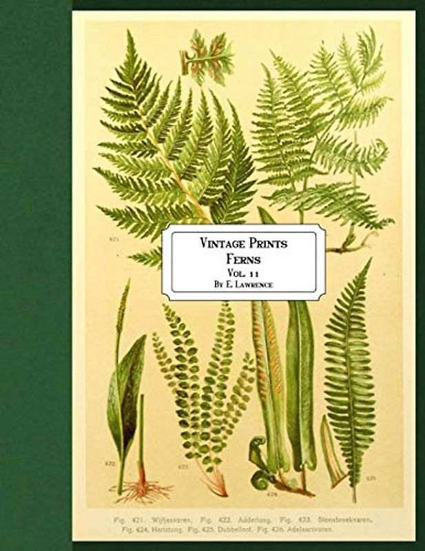 Vintage Prints: Ferns: Vol. 11
