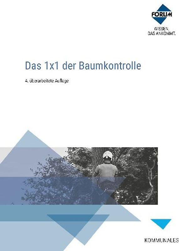 Das 1x1 der Baumkontrolle