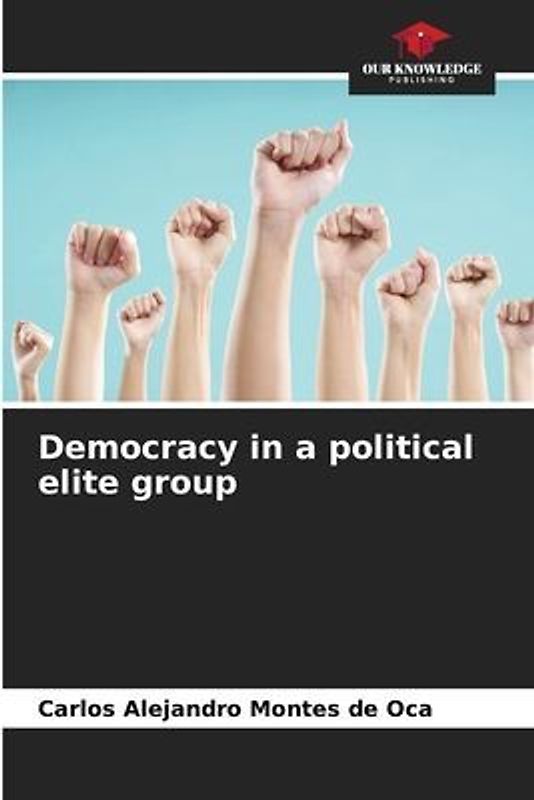 Democracy in a political elite group