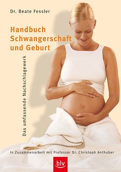 Handbuch Schwangerschaft und Geburt