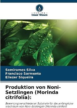 Produktion von Noni-Setzlingen (Morinda citrifolia):