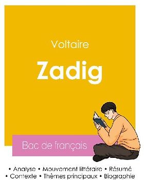 Réussir son Bac de français 2026 : Analyse de Zadig de Voltaire