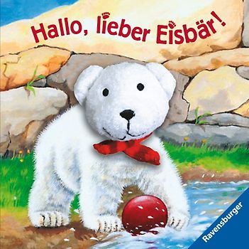 Hallo, lieber Eisbär!