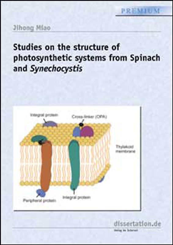 Studies on the structure of photosyntetic systems from Spinach and Synechocystis