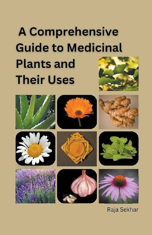 A Comprehensive Guide to Medicinal Plants and Their Uses