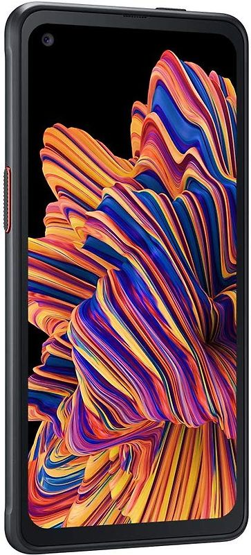 Samsung Galaxy XCover Pro Dual SIM 64 Go [Édition Entreprise] noir