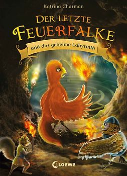 Der letzte Feuerfalke und das geheime Labyrinth (Band 10)