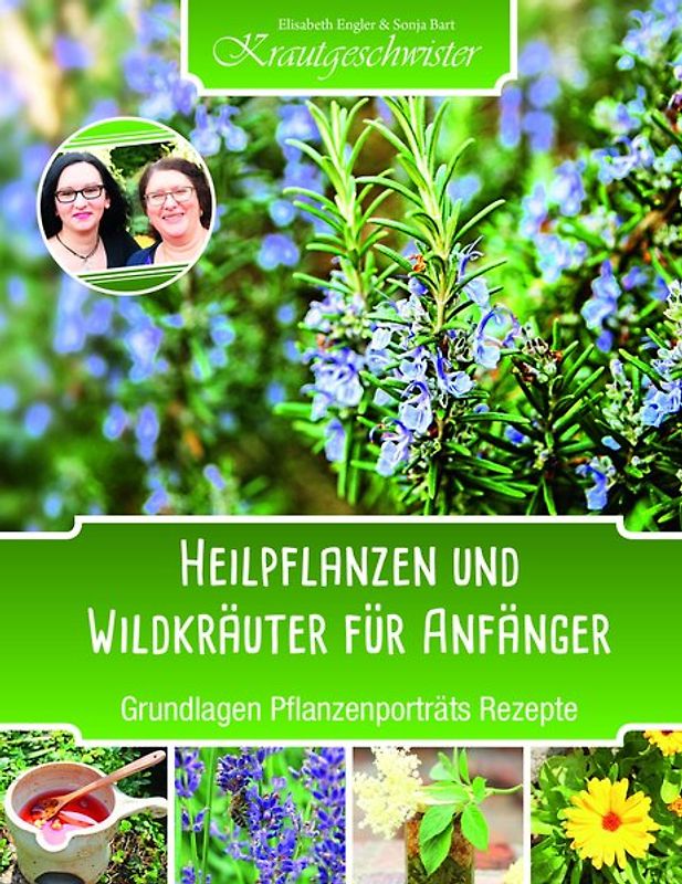 Heilpflanzen und Wildkräuter für Anfänger