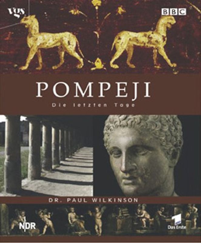 Pompeji. Der letzte Tag
