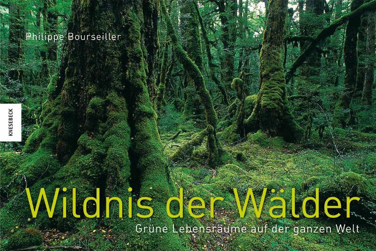 Wildnis der Wälder. Grüne Lebensräume auf der ganzen Welt