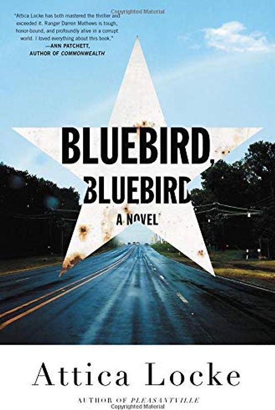 Bluebird, Bluebird (A Highway 59 Novel, 1)