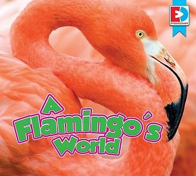 A Flamingo's World