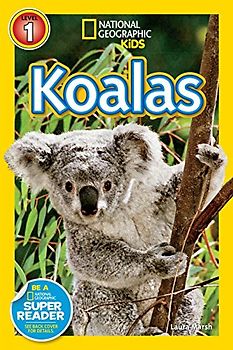 Koalas (National Geographic Kids Readers, Level 1)