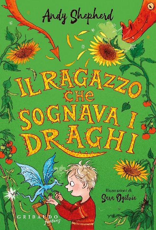 Il ragazzo che sognava i draghi