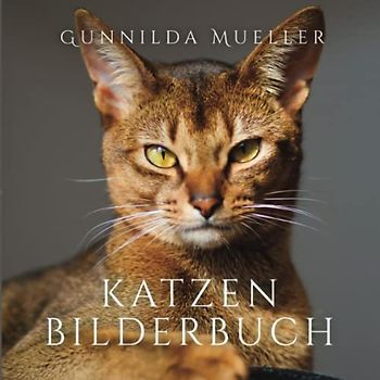 Katzen Bilderbuch: Demenz Beschäftigung für Senioren mit Demenzkranke und Alzheimer. Kein Text