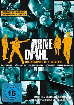 Arne Dahl - Die komplette Staffel 1 [11 DVDs] DVD