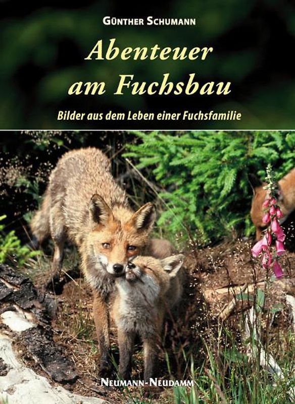 Abenteuer am Fuchsbau