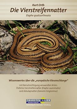 Die Vierstreifennatter Elaphe quatuorlineata