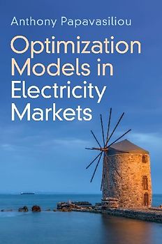 Optimization Models in Electricity Markets
