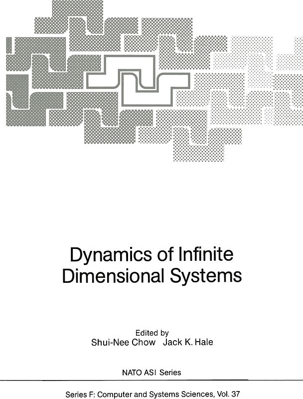 Dynamics of Infinite Dimensional Systems