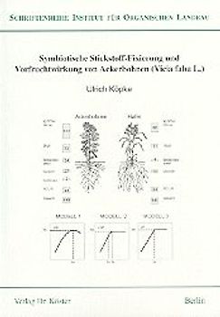 Symbiotische Stickstoff-Fixierung und Vorfruchtwirkung von Ackerbohnen (Vicia faba L.)