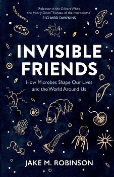 Invisible Friends