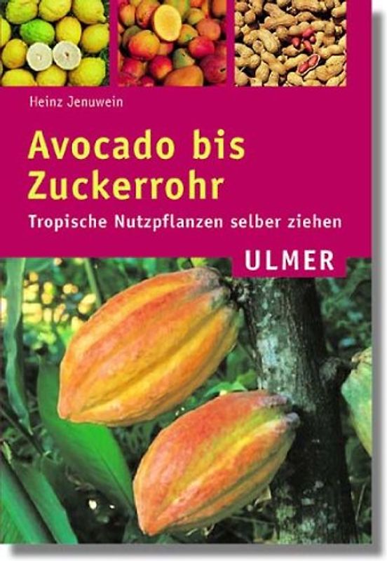 Avocado bis Zuckerrohr