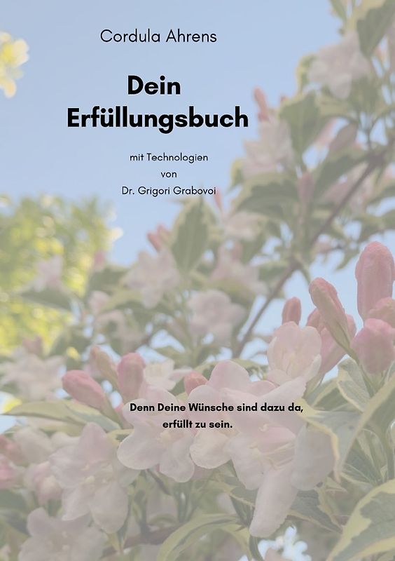 Dein Erfüllungsbuch