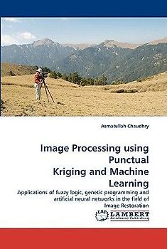Image Processing using Punctual Kriging and Machine Learning