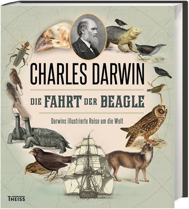 Die Fahrt der Beagle