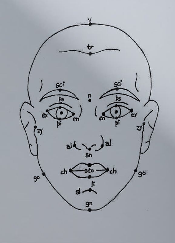 Megan Williams, Sheung Yiu: (Inter)Faces of Predictions