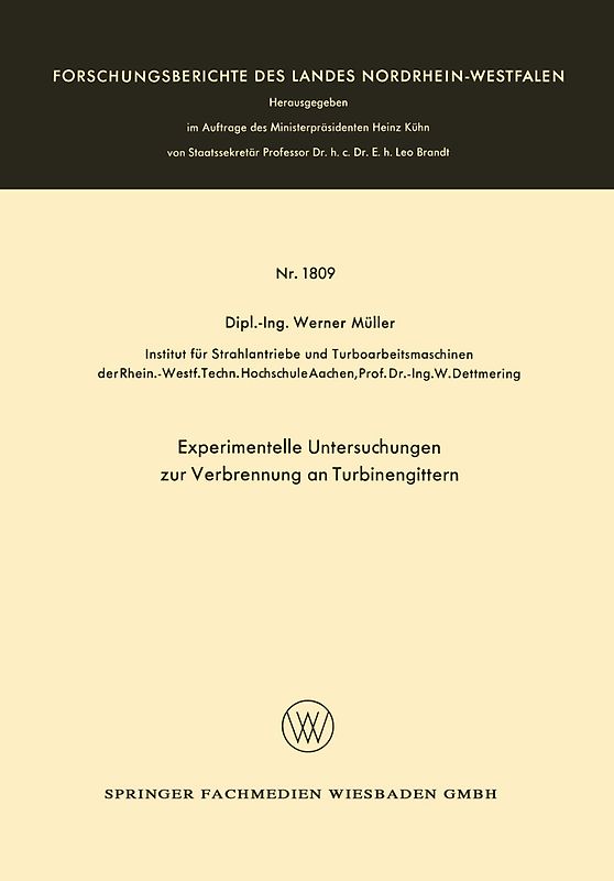 Experimentelle Untersuchungen zur Verbrennung an Turbinengittern