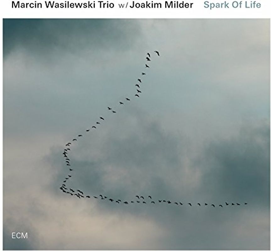 Wasilewski,Marcin Trio - Spark of Life