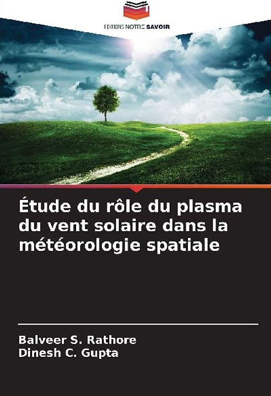 Étude du rôle du plasma du vent solaire dans la météorologie spatiale