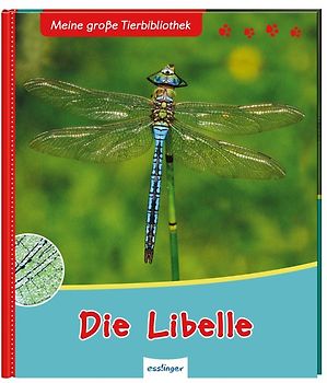 Meine große Tierbibliothek: Die Libelle