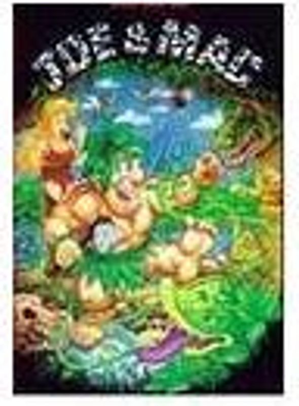 Joe und Mac - Caveman Ninja NES