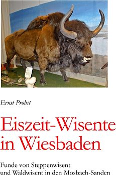 Eiszeit-Wisente in Wiesbaden