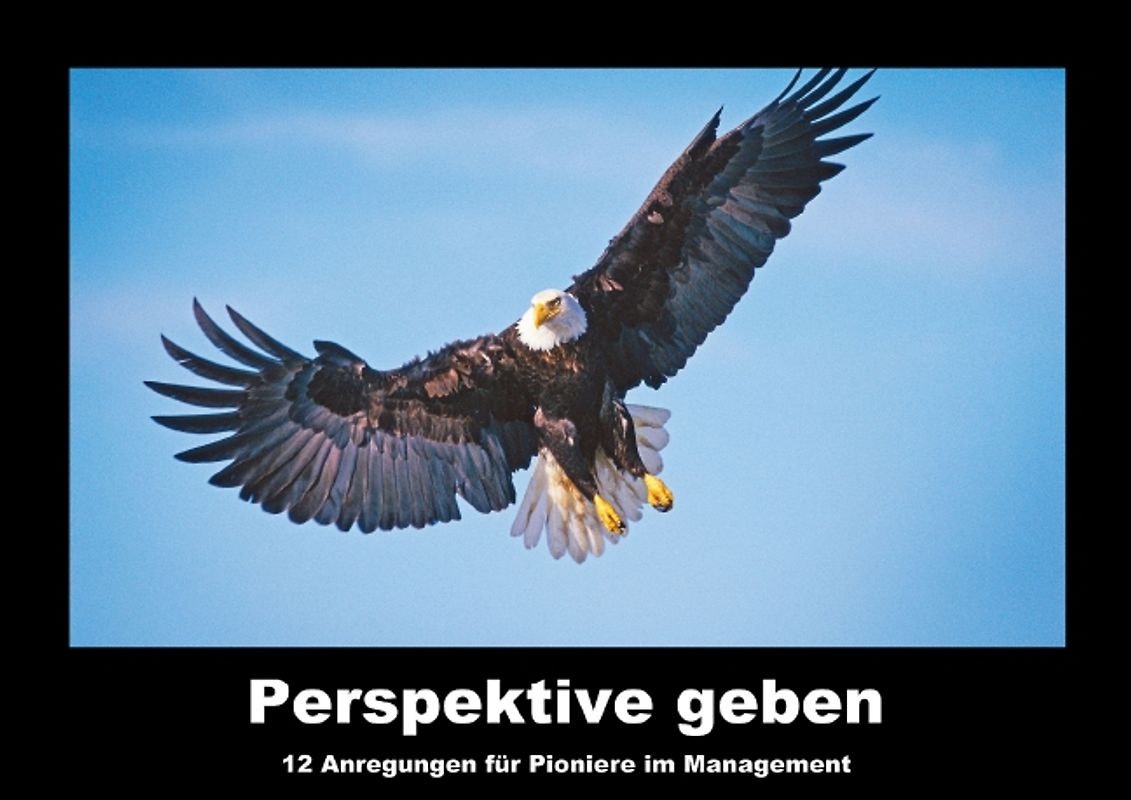 Perspektive geben (Posterbuch DIN A4 quer)