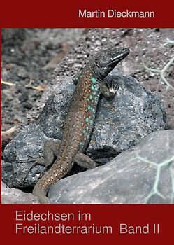 Eidechsen im Freilandterrarium