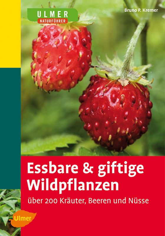 Essbare und giftige Wildpflanzen