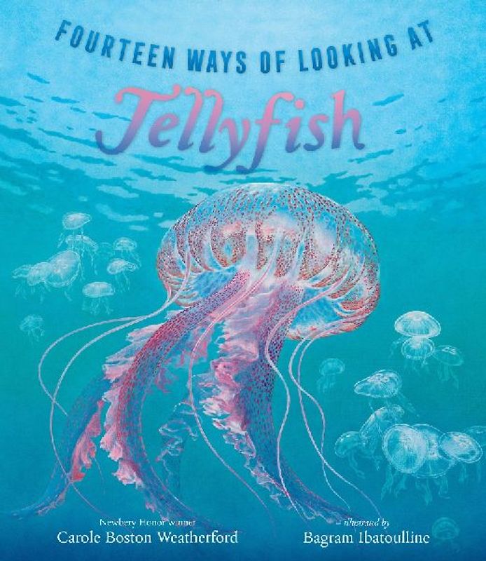 Fourteen Ways of Looking at Jellyfish