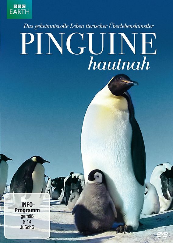 Pinguine hautnah DVD