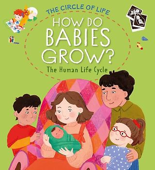 How Do Babies Grow? The Human Life Cycle