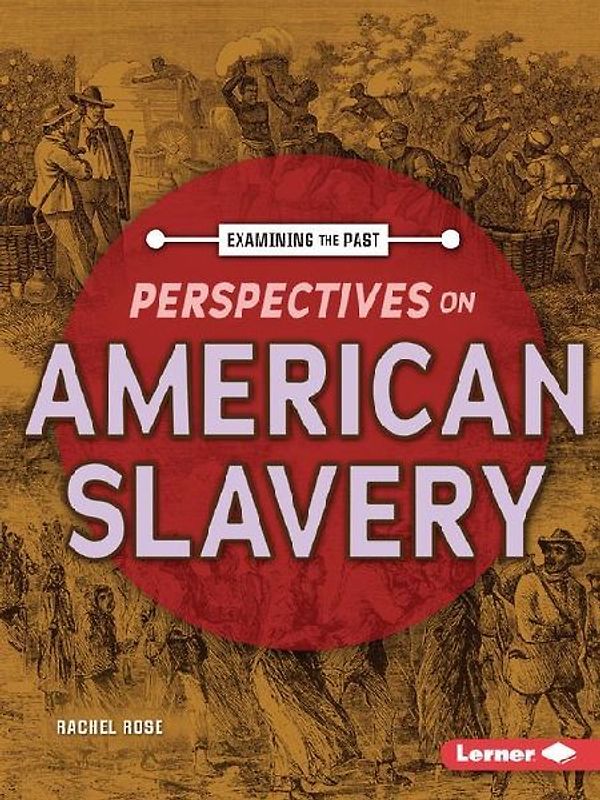 Perspectives on American Slavery
